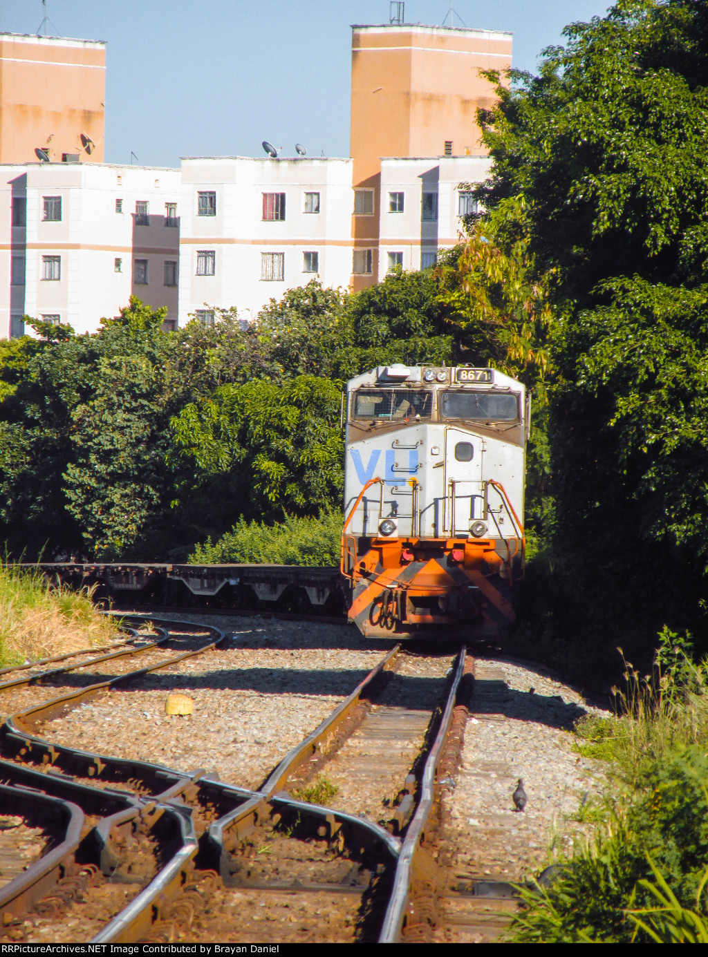 VLI 8681